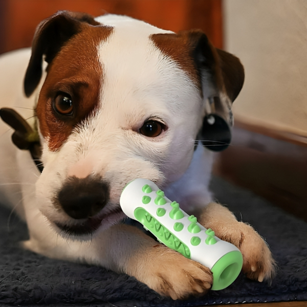 Dog Chew Toy