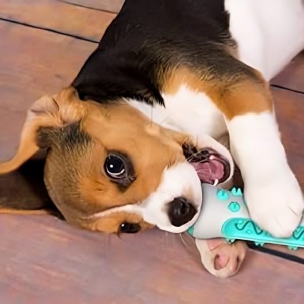 Dog Chew Toy