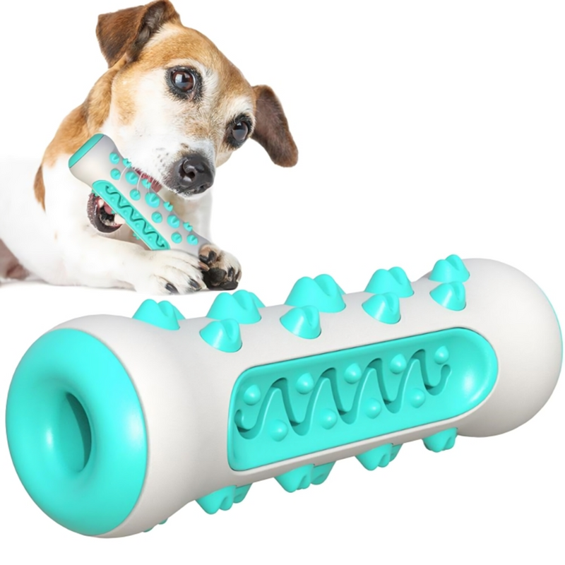 Dog Chew Toy